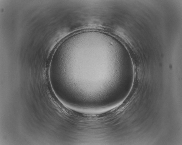 X0000068311260200604211155