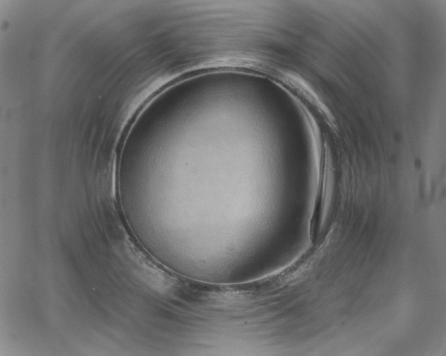 X0000068311276200604211154