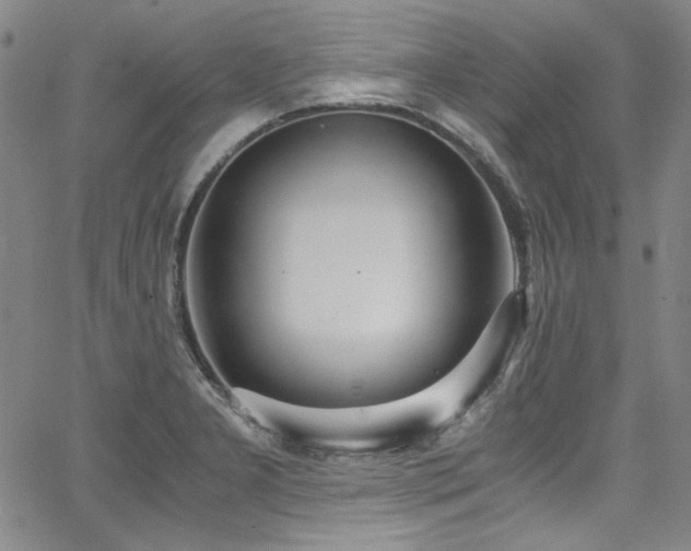 X0000068311277200604211154