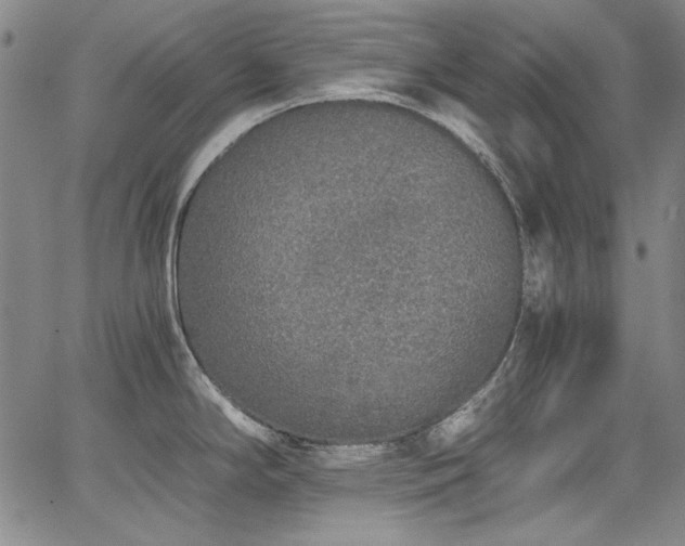 X0000068311294200604211154