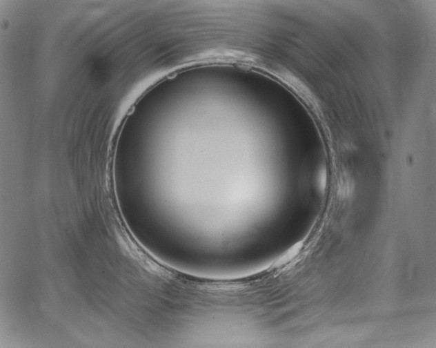X0000068311296200604211154