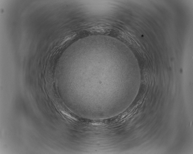 X0000068311297200604211153