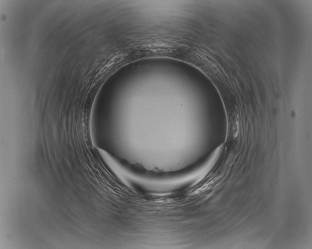 X0000068311298200604211153