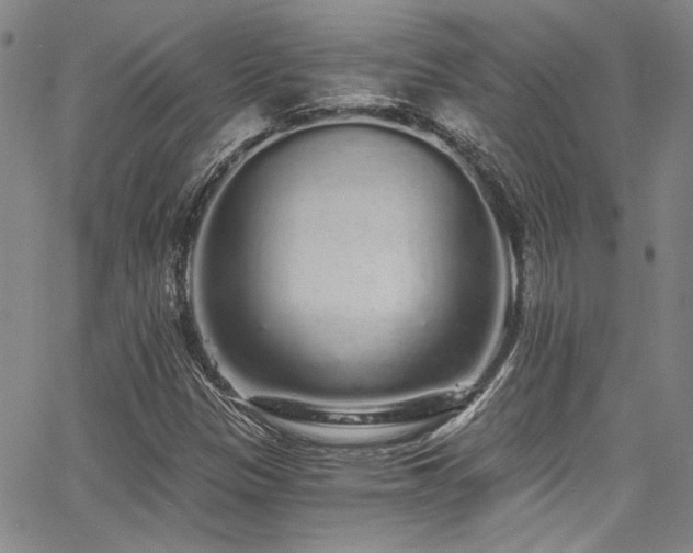 X0000068311305200604211153