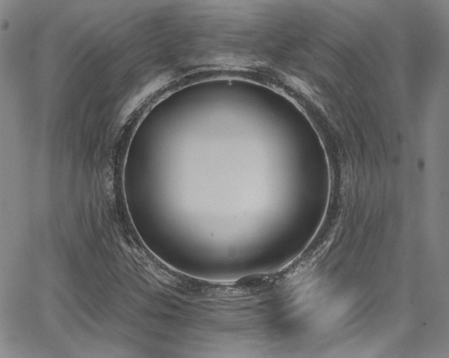 X0000068311307200604211153