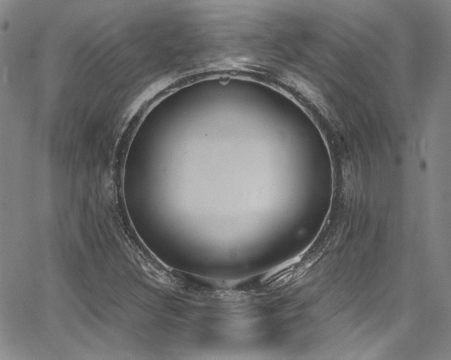 X0000068311308200604211153