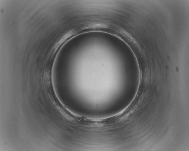 X0000068311321200604211154