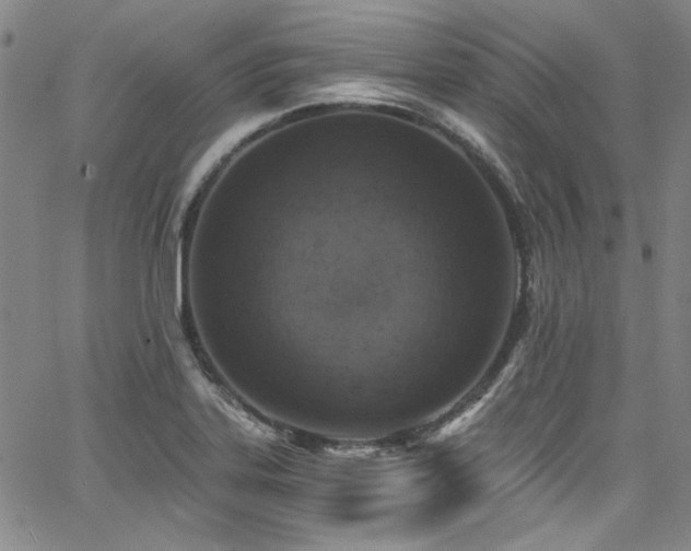X0000068311323200604211154