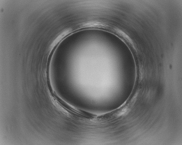 X0000068311330200604211154