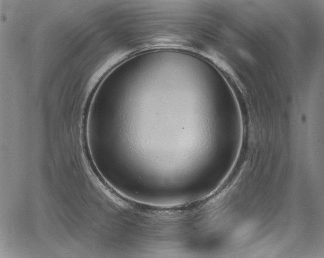 X0000068311333200604211154