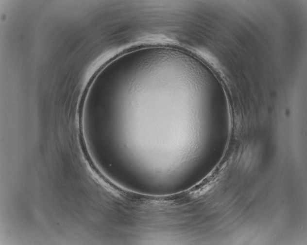 X0000068311335200604211154