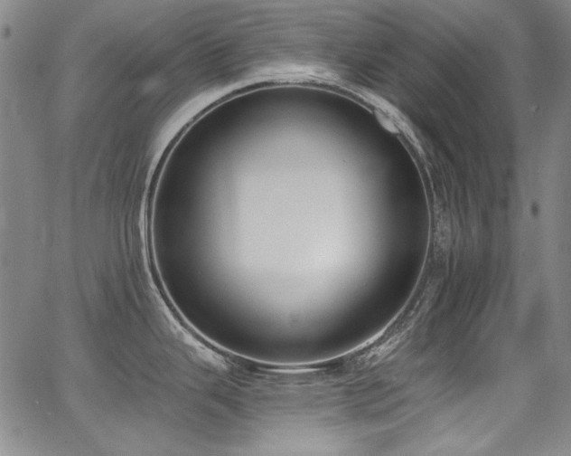 X0000068311343200604211154