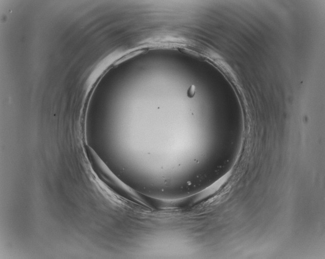 X0000068311344200604211154