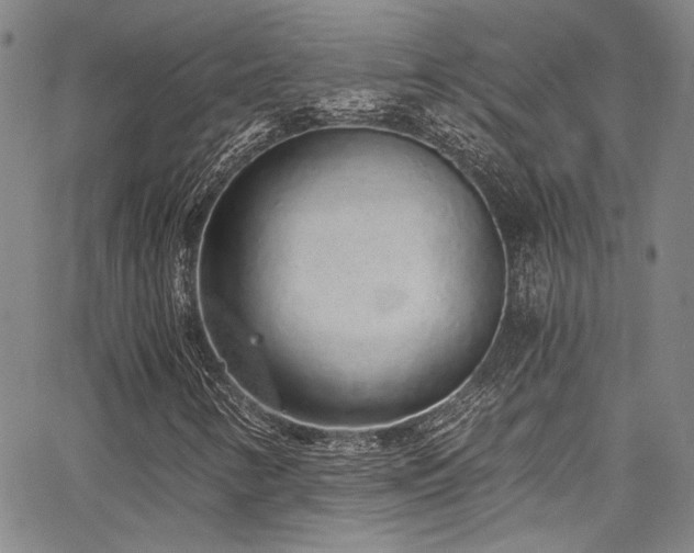 X0000068311346200604211153