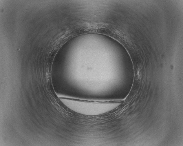 X0000068311348200604211153
