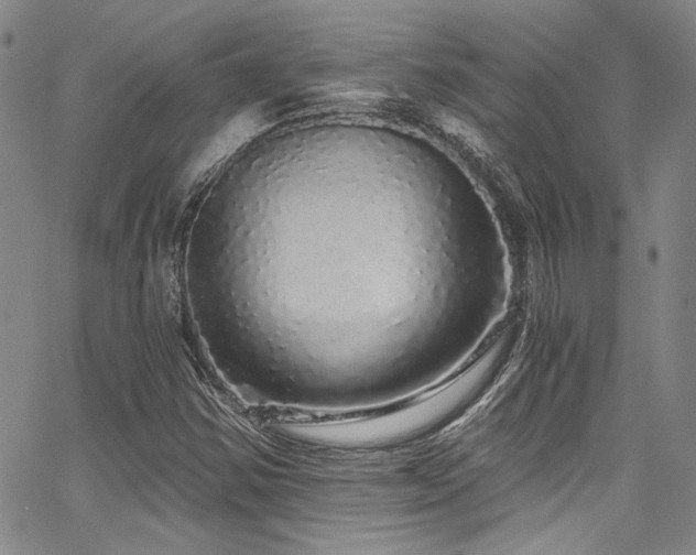 X0000068311354200604211153