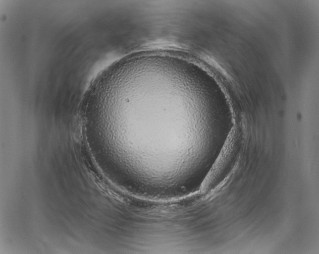X0000068311358200604211153