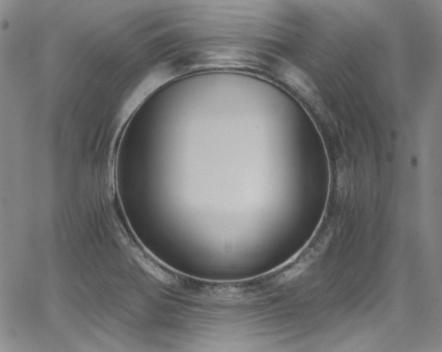 X0000068311370200604211153