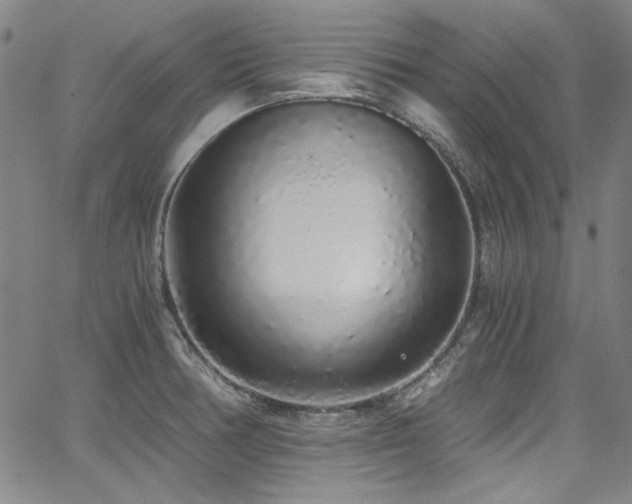 X0000068311378200604211153