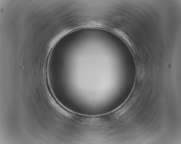 X0000068311387200604211153