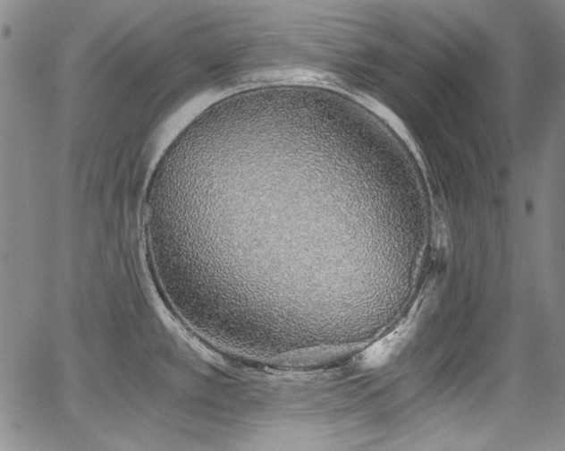 X0000068311389200604211152