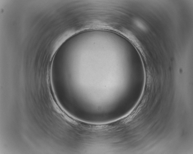 X0000068311390200604211152