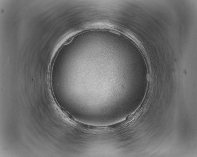 X0000068311392200604211152