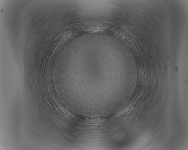 X0000068311393200604211152
