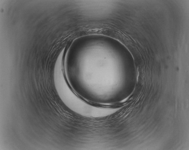 X0000068311394200604211152