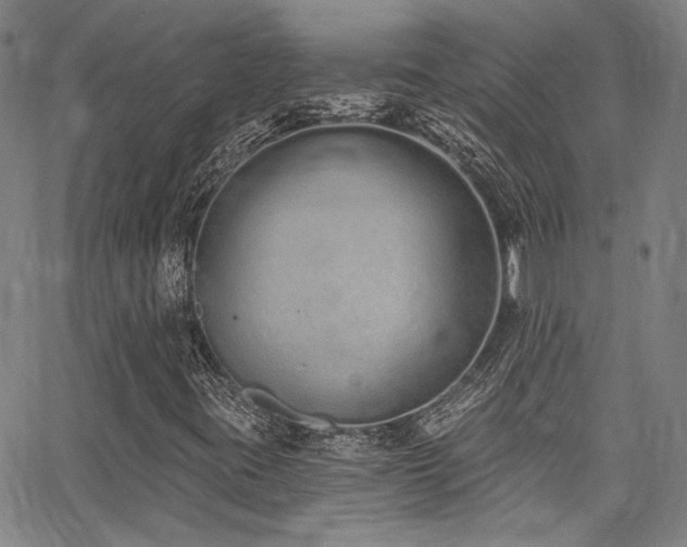 X0000068311395200604211152