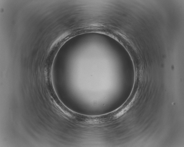 X0000068311402200604211152