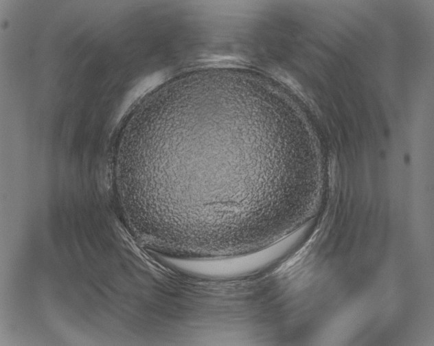 X0000068311405200604211152