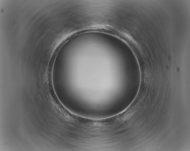 X0000068311412200604211152