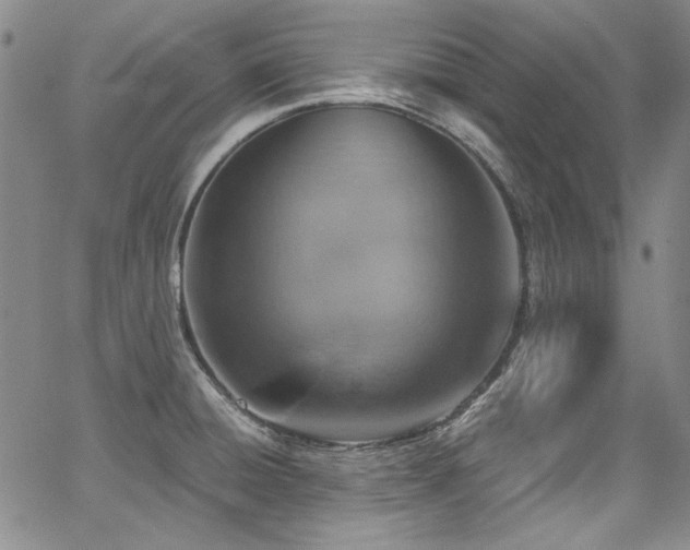 X0000068311428200604211152