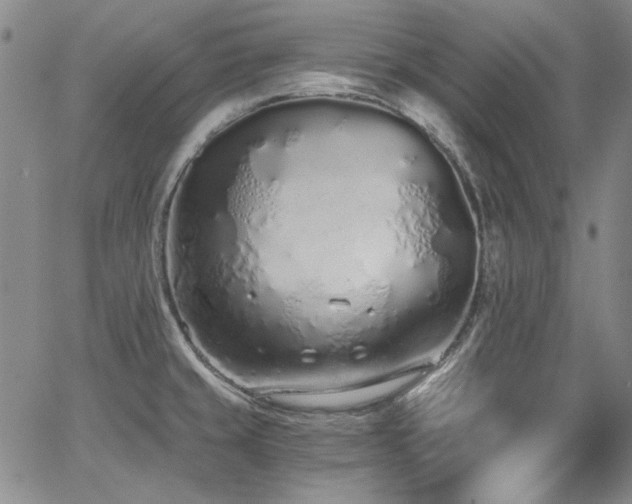 X0000068311429200604211152
