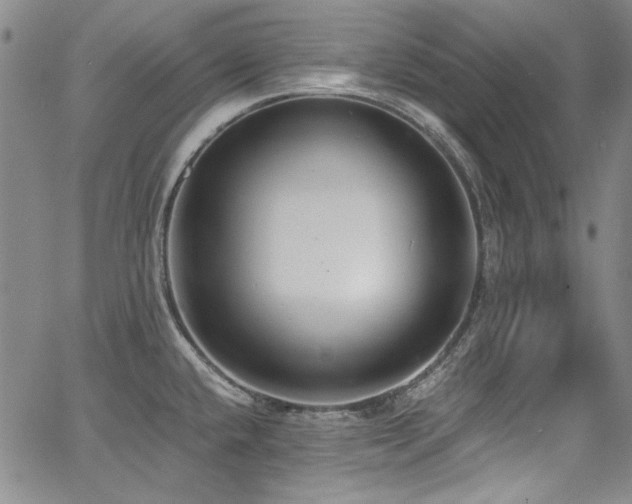 X0000068311432200604211152