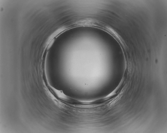 X0000068311434200604211152