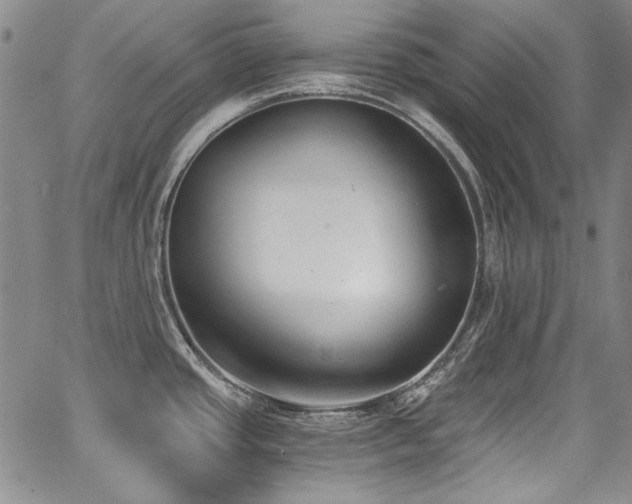X0000068311437200604211152