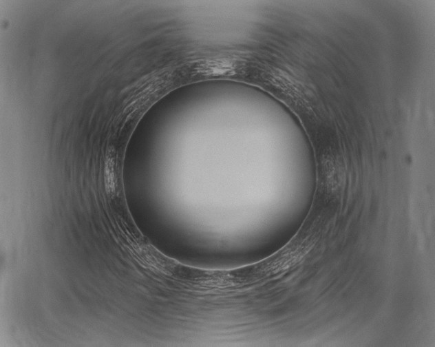 X0000068311442200604211152