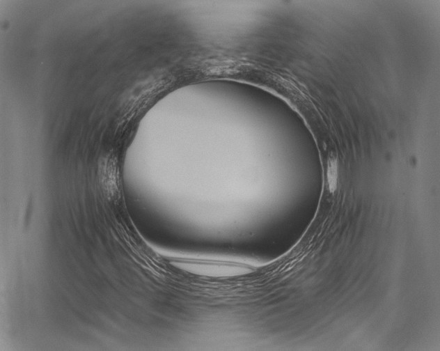 X0000068311444200604211152