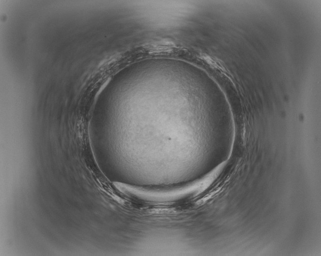 X0000068311445200604211152