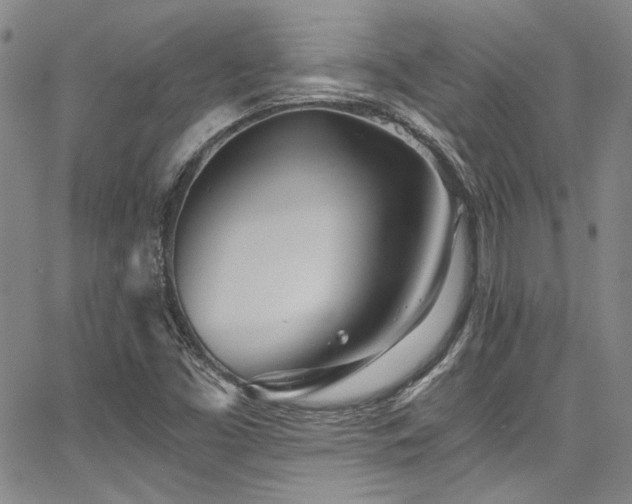 X0000068311453200604211151