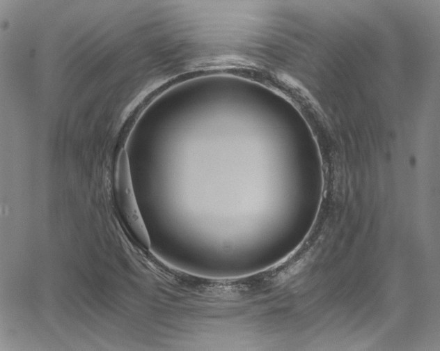 X0000068311457200604211151