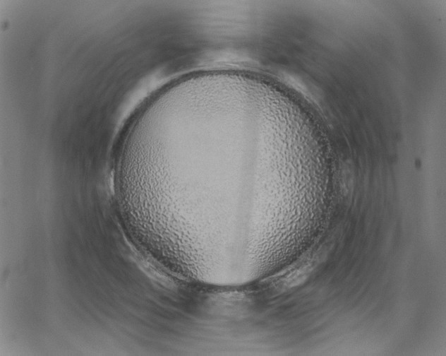 X0000068311462200604211151