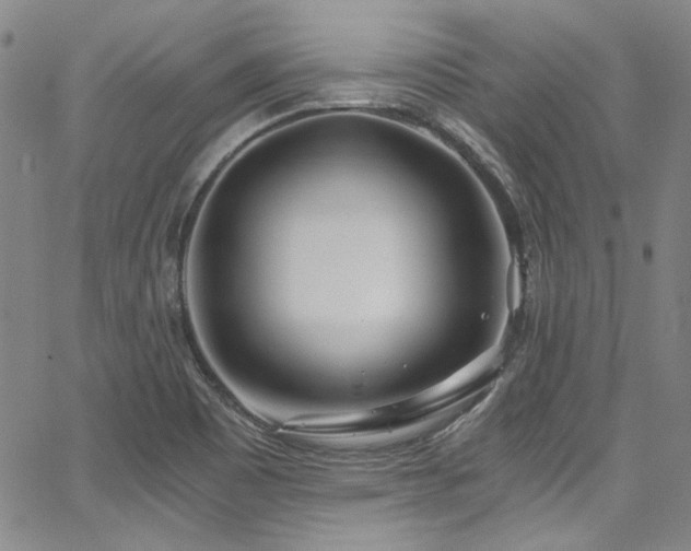X0000068311465200604211151