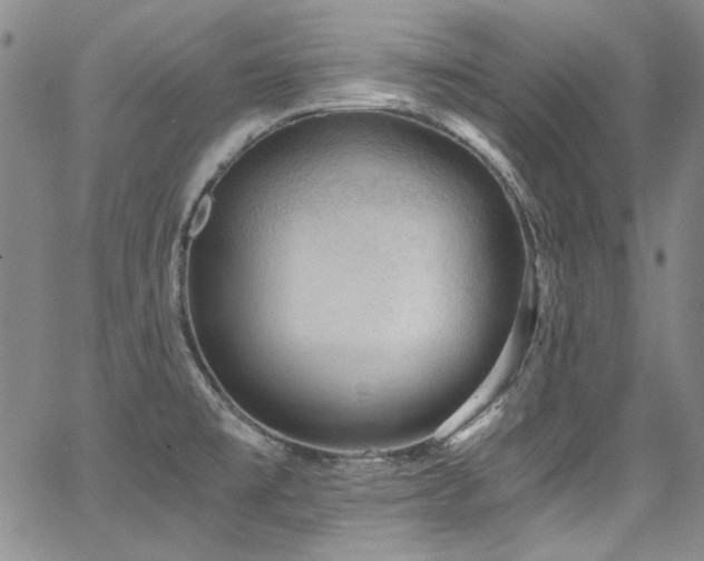 X0000068311477200604211151