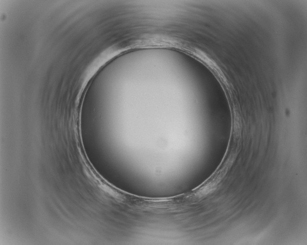 X0000068311486200604211151
