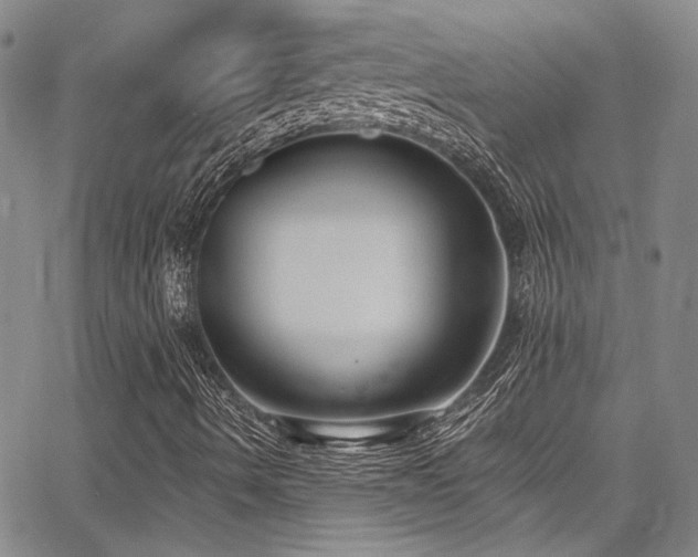 X0000068311490200604211150