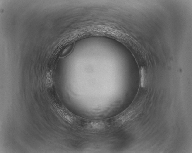 X0000068311491200604211150