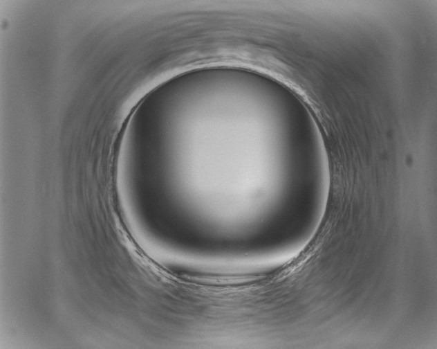 X0000068311534200604211151